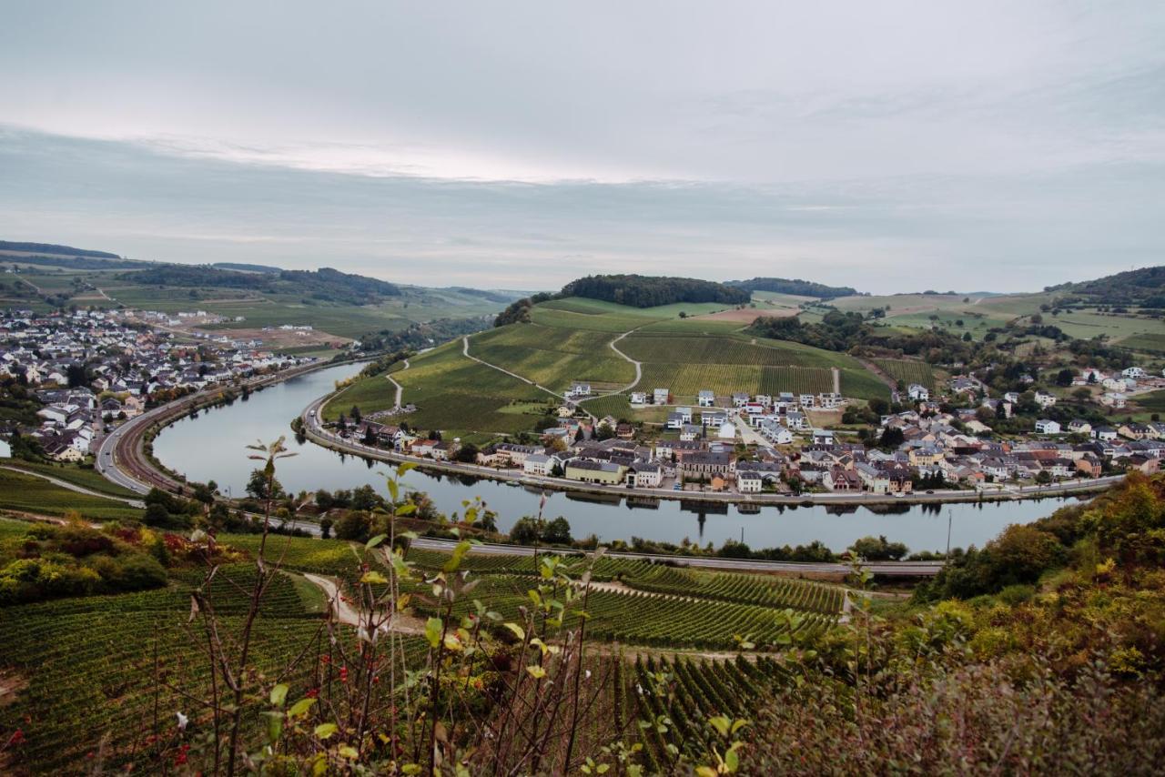 Weingut Und Gaestehaus Zilliken Nittel Exterior foto